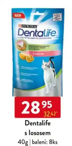 Qanto Dentalife s lososem nabídka