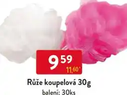 Qanto Růže koupelová nabídka