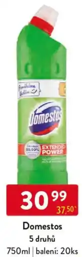 Qanto Domestos nabídka