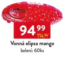 Qanto Vonná elipsa mango nabídka