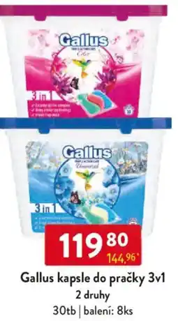 Qanto Gallus kapsle do pračky 3v1 nabídka