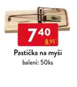 Qanto Pastička na myši nabídka