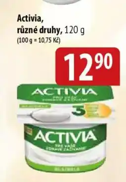 Bala Activia nabídka