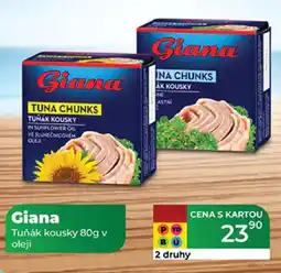 Tamda Foods Giana Tuňák kousky v oleji nabídka