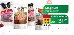 Tamda Foods Magnum pamlsky nabídka