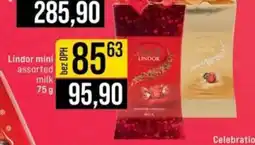 Jip Lindor mini assorted milk nabídka
