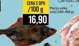 Jip Platys velký celý nabídka