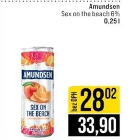 Jip Amundsen nabídka