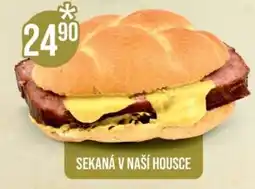 Jip Sekaná v naší housce nabídka