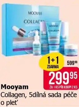 Teta Mooyam nabídka