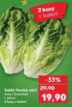 Kaufland Salát římský mini nabídka