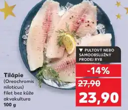 Kaufland Tilápie nabídka