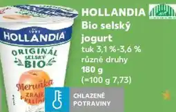 Kaufland HOLLANDIA Bio selský jogurt nabídka