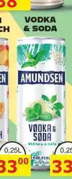 BENE Nápoje AMUNDSEN VODKA & SODA 0,25l míchaný nápoj nabídka