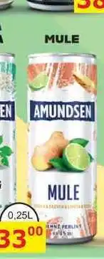 BENE Nápoje AMUNDSEN MULE 0,25l míchaný nápoj nabídka