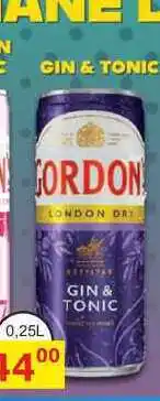 BENE Nápoje GORDON LONDON DRY GIN & TONIC 0,25l míchaný nápoj nabídka