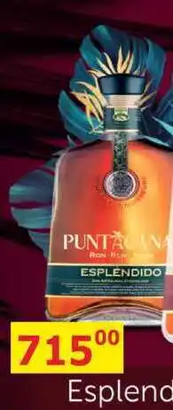 BENE Nápoje Puntacana Club Ron Espléndido 0,7l 38% nabídka