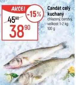 Globus Candát celý kuchaný nabídka