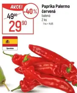 Globus Paprika Palermo červená nabídka