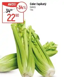 Globus Celer řapíkatý nabídka