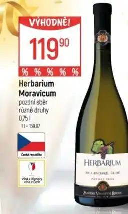 Globus Herbarium Moravicum nabídka
