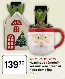 Tesco Hyacint ve vánočním keramickém hrnečku nebo domečku nabídka