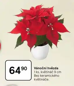 Tesco Vánoční hvězda nabídka