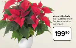 Tesco Vánoční hvězda nabídka