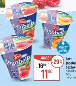 Globus Zott Jogobella bez laktózy nabídka