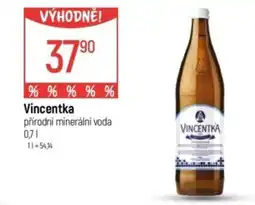 Globus Vincentka nabídka