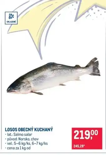 Losos obecný kuchaný