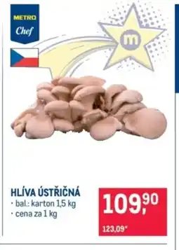 Makro Hlíva ústřičná nabídka