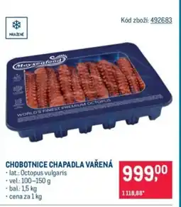 Makro Chobotnice chapadla vařená nabídka