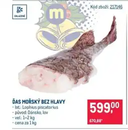 Makro Ďas mořský bez hlavy nabídka