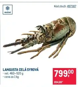 Makro Langusta celá syrová nabídka