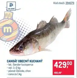 Makro Candát obecný kuchaný nabídka
