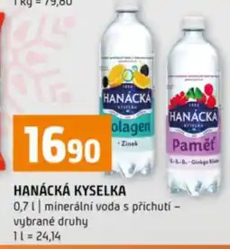 Terno Hanácká kyselka nabídka