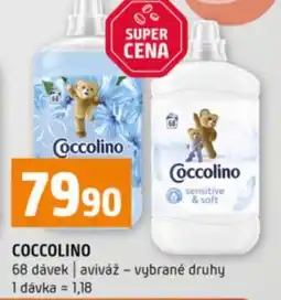 Terno Coccolino nabídka