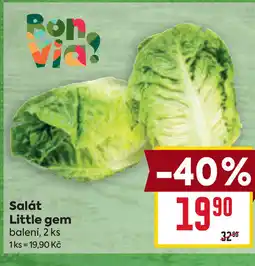 Billa Salát Little gem nabídka