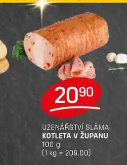 Flop KOTLETA V ŽUPANU 100 g nabídka