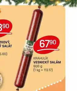 Flop VESNICKÝ SALÁM 600 g nabídka