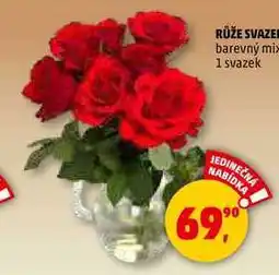 Penny Market RŮŽE SVAZEK, 1 svazek nabídka