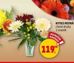 Penny Market KYTICE PESTRÁ,y 1 svazek nabídka