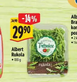 Albert Albert Rukola 100 g nabídka