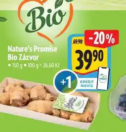 Albert Nature's Promise Bio Zázvor 150 g nabídka