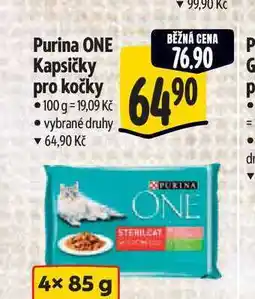 Albert Purina ONE Kapsičky pro kočky 100 g nabídka