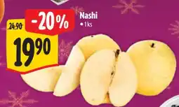 Albert Nashi nabídka