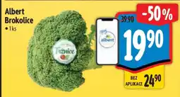 Albert Albert Brokolice nabídka