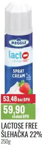 Ratio MEGGLE Lactose free šlehačka 22% nabídka