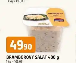 Trefa BRAMBOROVÝ SALÁT 480 g nabídka
